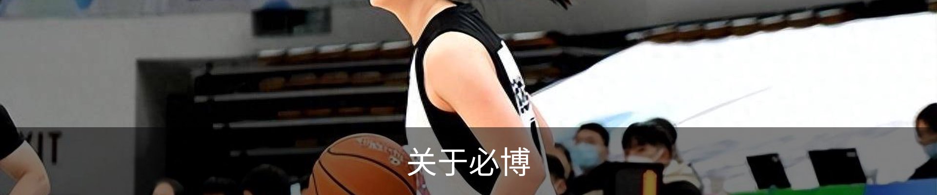 关于必博